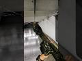 colt/Daniel defense mk18 was made by God 🔥 #ar15 #frt #airsoft #train #trending