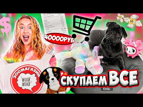 СКУПАЕМ ВСЕ ДЛЯ ЩЕНКА ! ШОППИНГ ДЛЯ СОБАКИ Челлендж! Первые Покупки для Фунтика