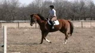 SunnyTrot1.avi Guide