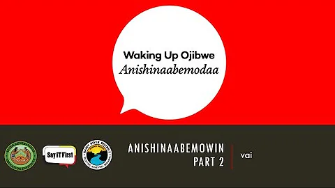 Anishinaabemowin Part 2: vai