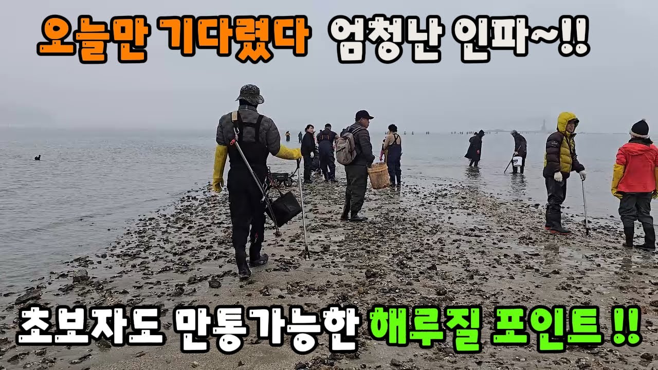 오늘만 기다렸다 황금물때 ~!! 초보자도 만통가능한 해루질 포인트~!!