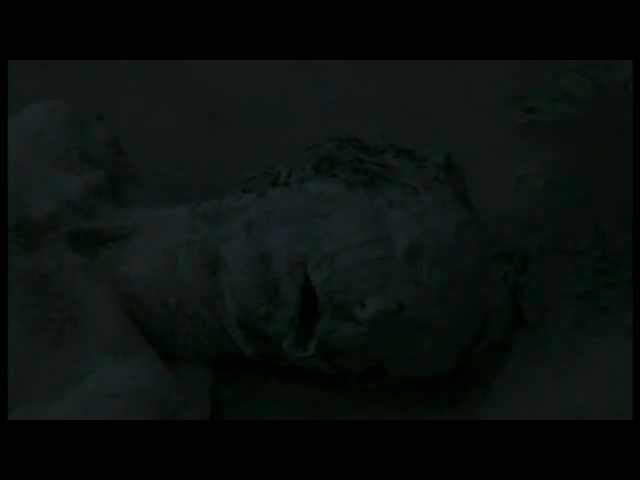 Ver время альбиносов - Я устал no YouTube Ver время альбиносов - Я устал no YouTube