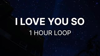 I  Love You so by The Walters 1 HOUR LOOP
