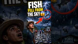 Fish Literally Fall From the Sky in Honduras 😳