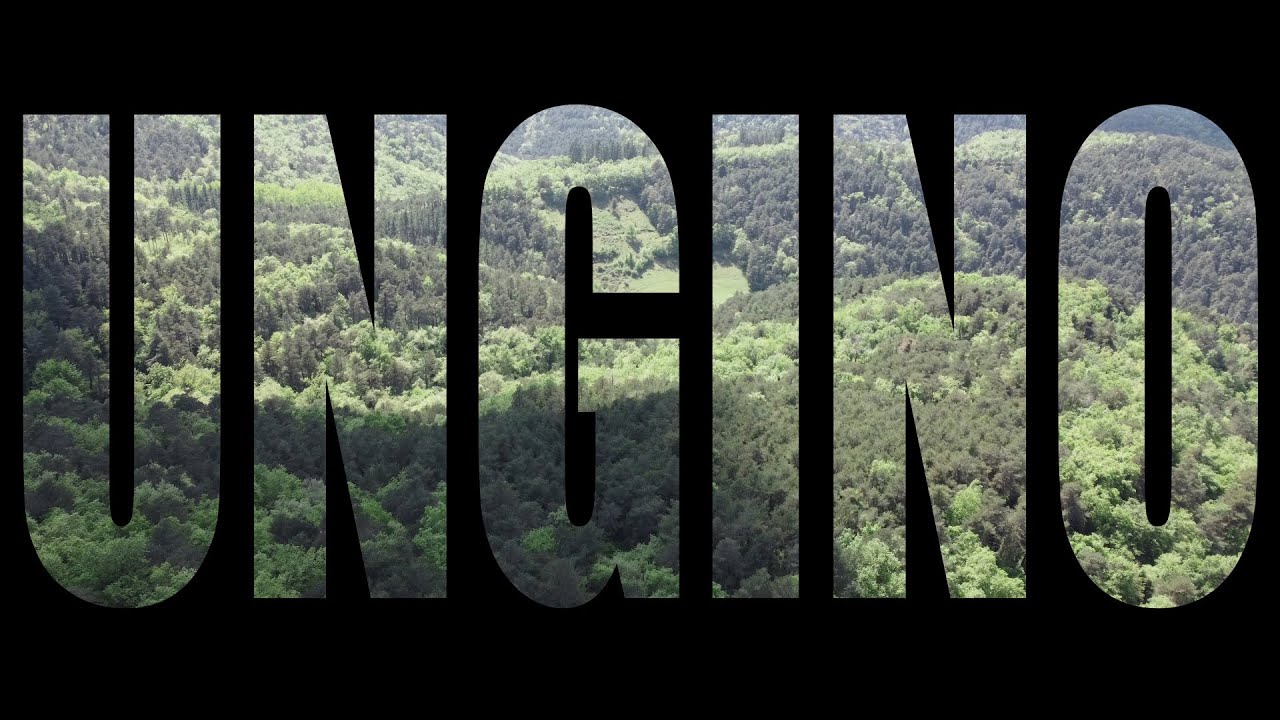 HASZIA - Ungino