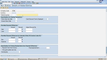 Tolerance Limit for Customers and Vendors in SAP