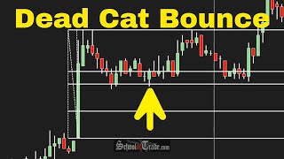 Day Trading The NEWS with a Dead Cat Bounce Pattern; SchoolOfTrade.com