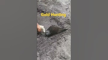 Metal detecting in the beach! Look what I found? #metaldetecting #goldhunting #shorts