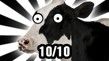 You Can Play As E V E R Y T H I N G ! ! ! !