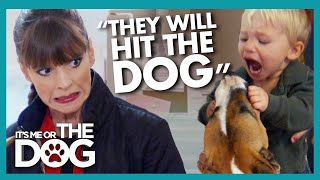 Victoria Worries Kids That Punch Their Dog At MAJOR Risk of Bites | It's Me or The Dog