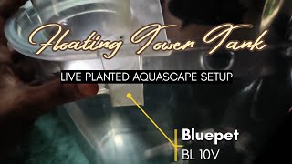 BLUEPET BL10V FLOATING TOWER Aquascape Setup! 🤯 Step-by-Step Guide (Live Planted Tank) | Asif Ali 