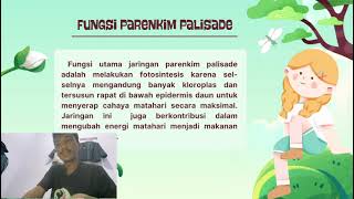 PARENKIM PALISADE