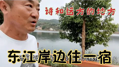 一家六口自駕來到廣東，遇上下雨天，江邊涼亭成了我們的客廳，藏四貓可以散放了，這樣的旅居生活咋樣【旅途99】 - 天天要聞
