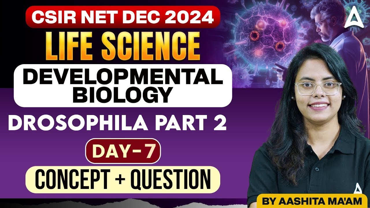 CSIR NET Dec 2024 | Developmental Biology - Drosophila Part 2 | Concept ...