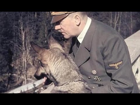 Kurt Meyer Fluweh 犬と蜂 maxresdefault.jpg