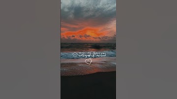 أرح سمعك 🤍🌿 ستوريات انستا قران كريم ايات قرانية قصيرة || حالات واتس قران صوت #القارئ_إسلام_صبحي 🤍🌿