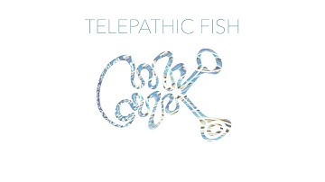 Spacetime Continuum - Fluresence