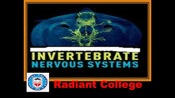 ZOL-404 Animal form and function-II lec 6 invertebrate nervous system
