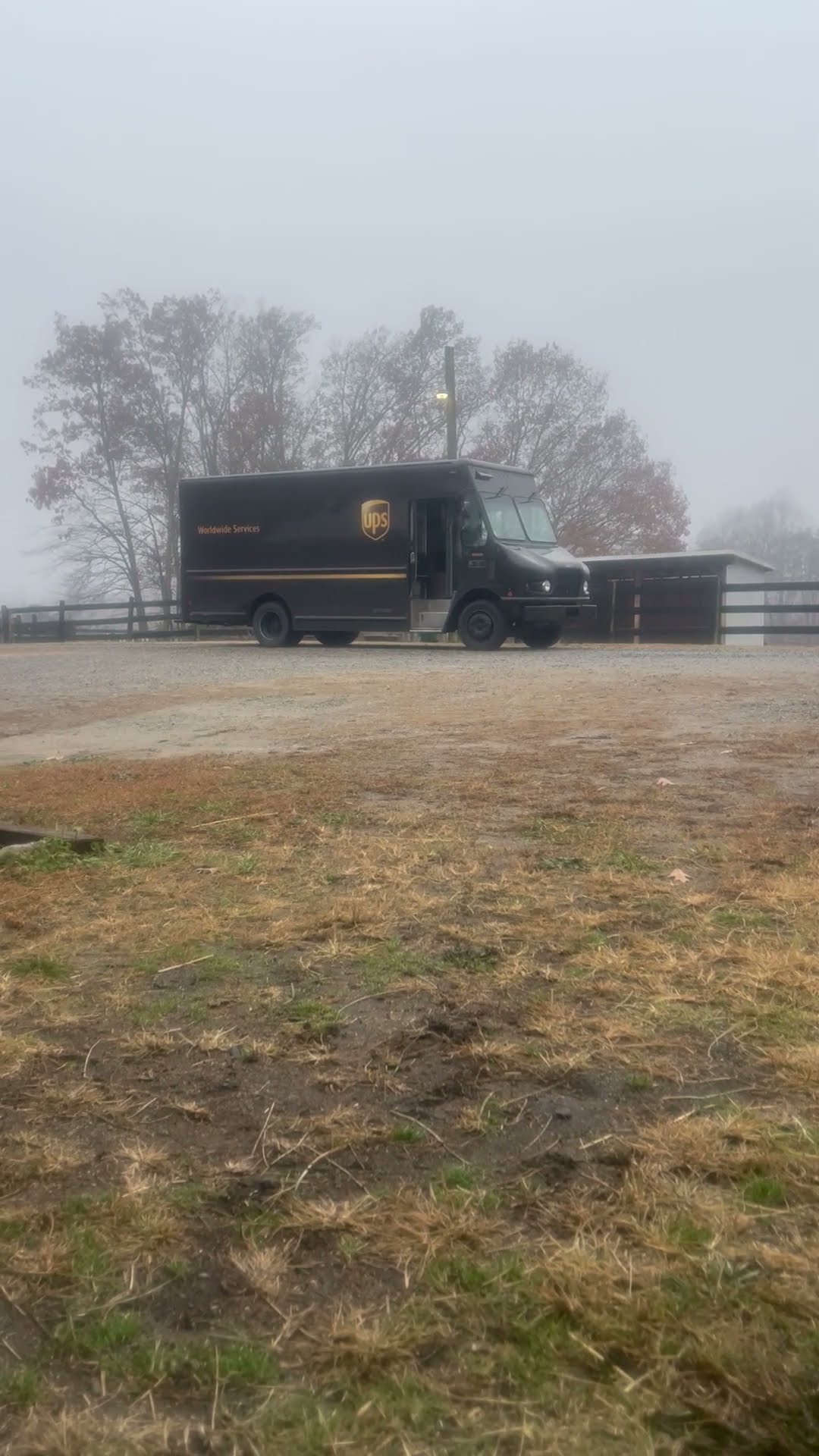 Australian Cattle Dog Greets Her Favorite UPS Driver || ViralHog