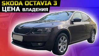 Skoda Octavia 3 (а7) плюсы и минусы, опыт владения ? Стоит ли покупать