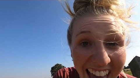 Separating the sheep flock