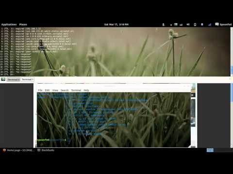 Spoonfeeding Hacking - How To Penetration Test; Information Gathering with firewalk
