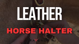 Discover Elegance &amp; Comfort: Ravenox Leather Breakaway Horse Halter