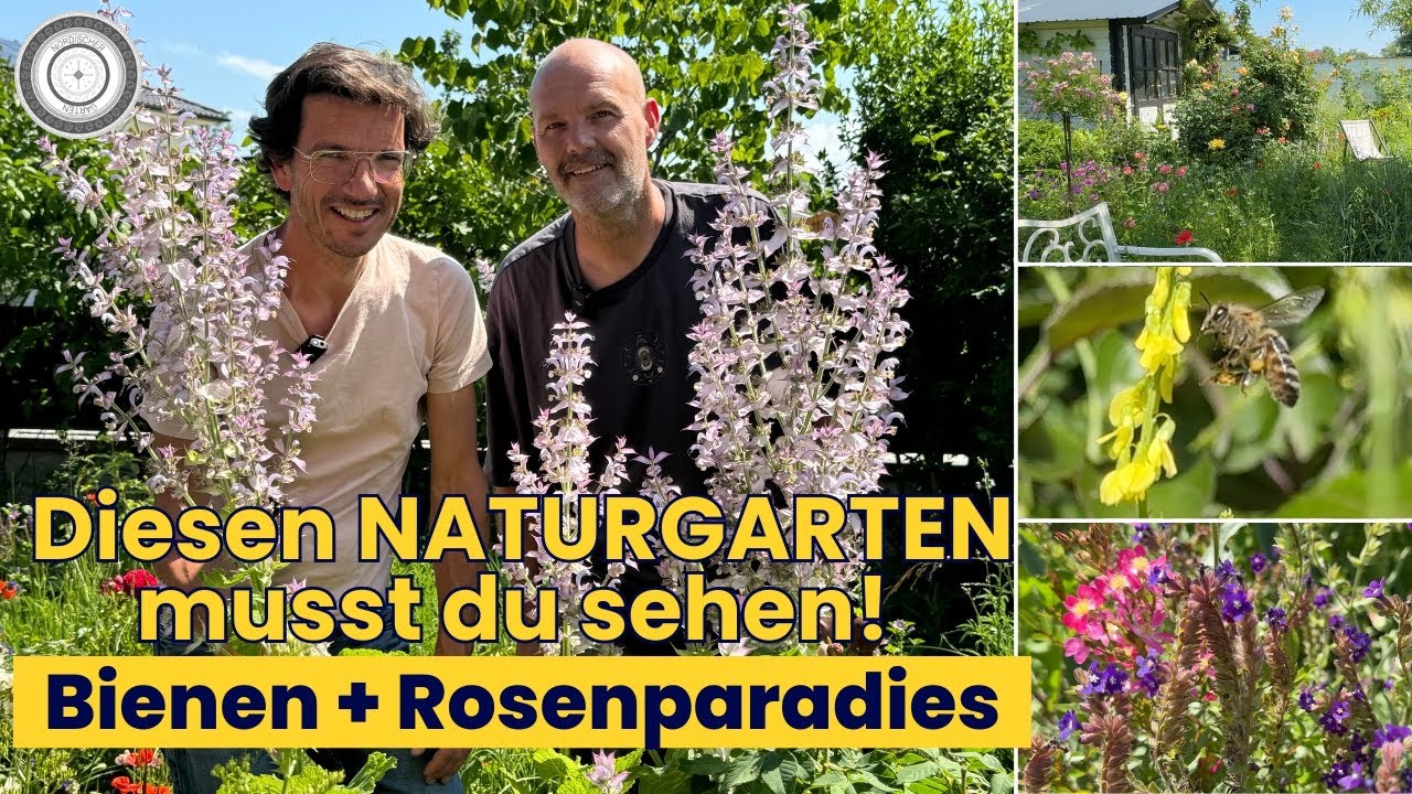 Zu Besuch beim BIENENSPEZIALISTEN! So KOMBINIERST du ZIERROSEN & NATURGARTEN