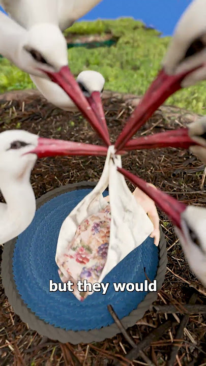 Can A Stork Carry A Baby? 🤔