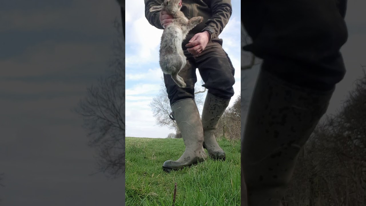 Easy way to gut the rabbits YouTube