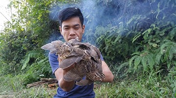 Chim Cút Nướng | Grilled Bird . Siêu Ngon Luôn