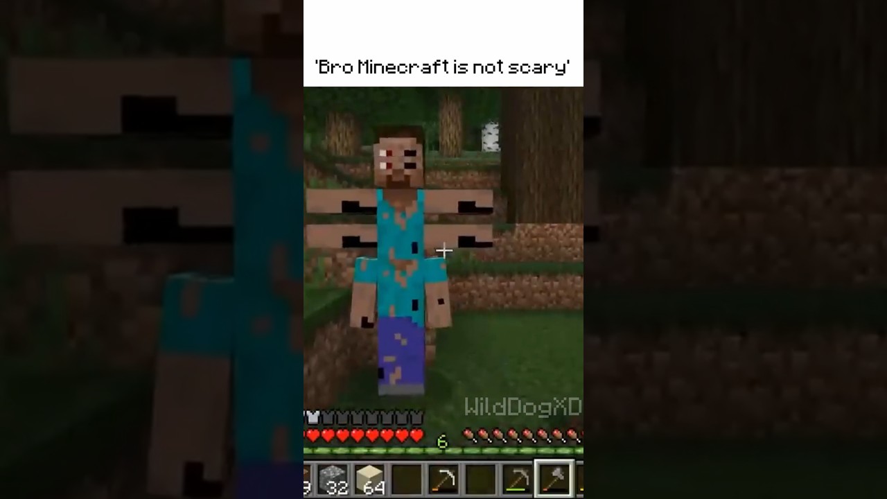 Bro Minecraft is not scary #minecraft  #scary  #minecraftcreepypasta
