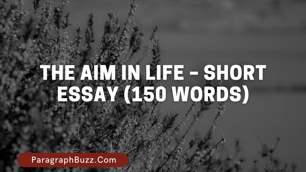 aim in life short essay