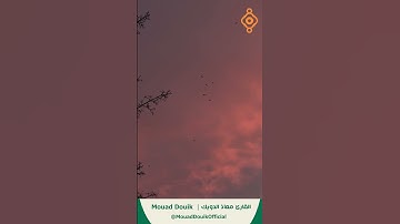 صوت يريح الروح | تلاوة معاذ الدويك التي تهدئ القلب #mouaddouik