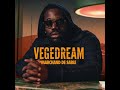 Vegedream  obscure remix