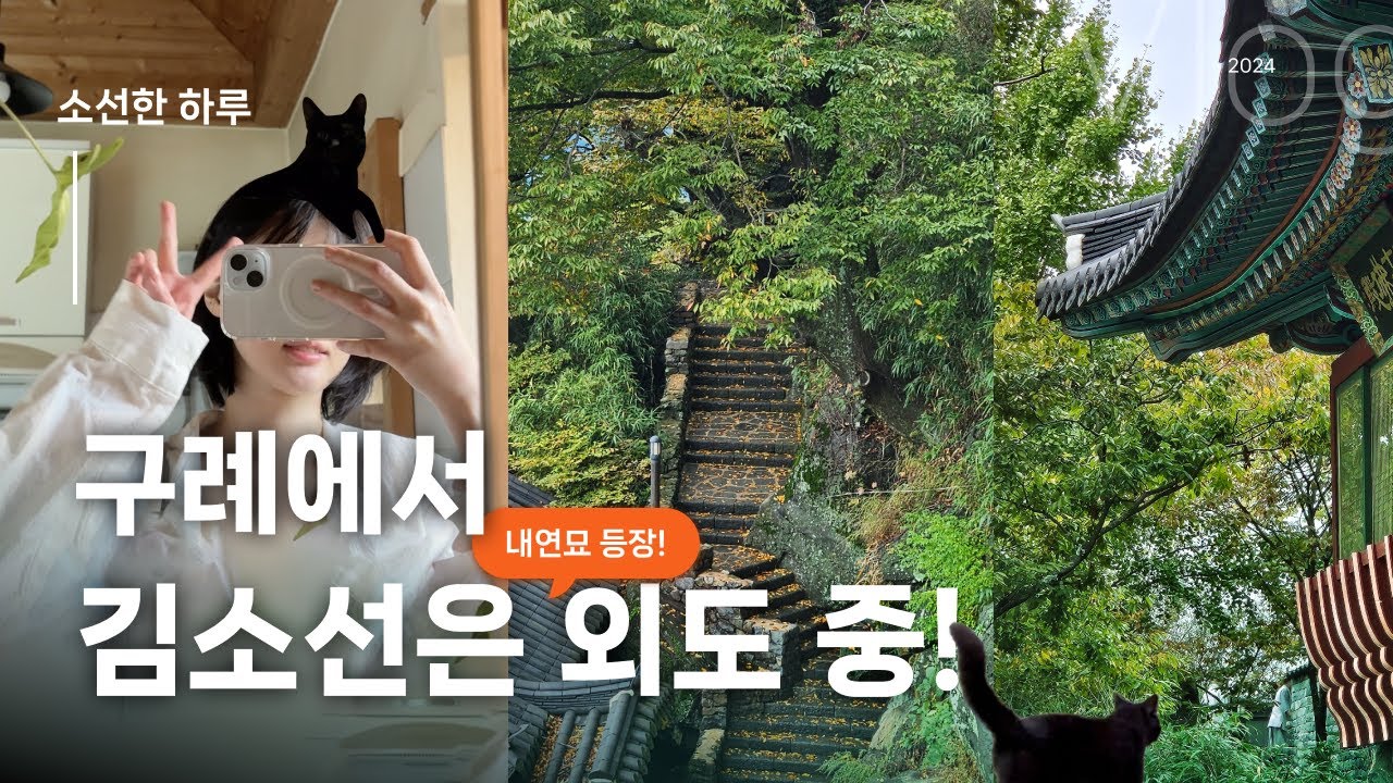 [소선한 하루] 김소선은 구례에서 외도 중! 브이로그