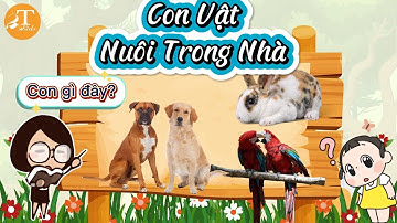 CON GÌ ĐÂY? Dạy Bé Đọc Tên Các Con Vật 🐱 Con Mèo, Con Chó, Con Vịt, Con Gà, Con Vẹt | 2T Kids