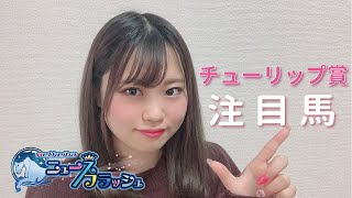 【チューリップ賞】坂巻里美が注目馬を紹介！