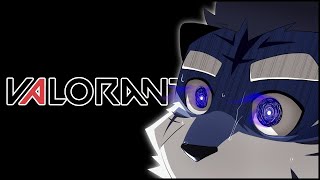【valorant】魂のランク【あおねぐぅず】