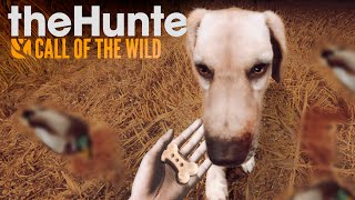 : theHunter Call of the Wild -    -     - 