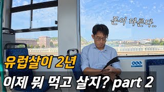 유럽 생활 2년째.. 그래서 뭐 먹고 사냐고? / 플펭 세계살이 / 헝가리 부다페스트