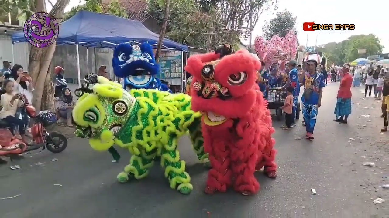 Barongsai singaemas jombang  dicarnaval jombang kota