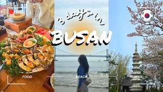 3 DAYS IN BUSAN | What should you do in Busan? Gamcheon village, Raw seafood, Beaches, Temple