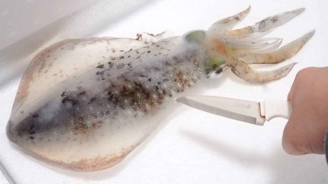 Removing the bones from the squidwas terrible. - YouTube