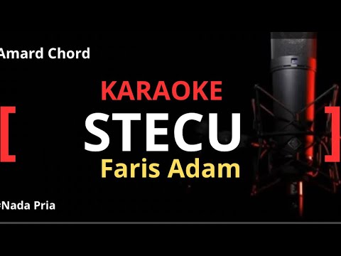 Karaoke Stecu_Stecu (Koplo) Nada Pria