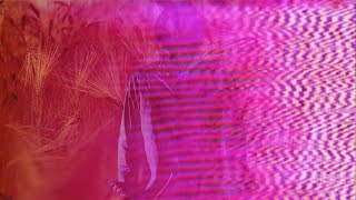 Video thumbnail of "John Maus - The Combine (Official Video)"