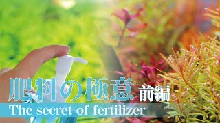 【初心者・中級者】水草水槽の肥料の与え方　失敗しない為のポイント