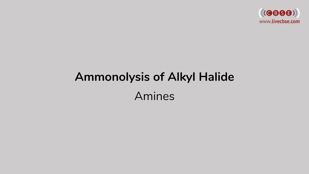 Class XII Chemistry - Ammonolysis of Alkyl Halide | LiveCBSE.com