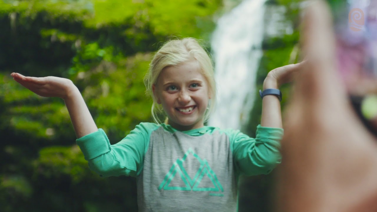 Punga Cove lodge 2019