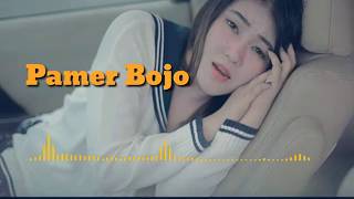 Via Vallen_Pamer Bojo.mp3